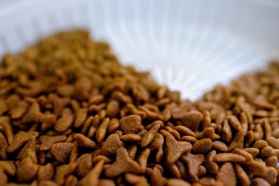 Close-up of cat food in bowl