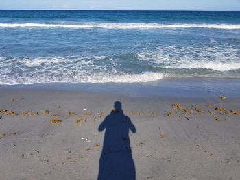 High angle view of man standing on beach