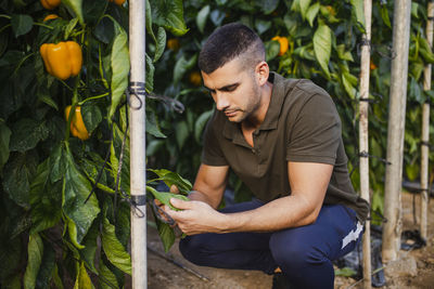 Young man looking away while holding plants