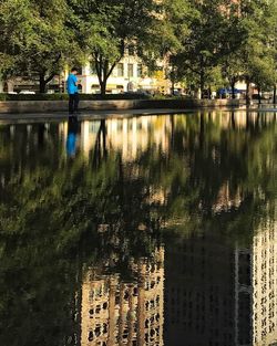 Reflection of trees in lake