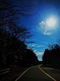 Empty road along trees