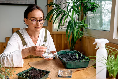 Woman sowing germinated seeds in mini greenhouse at home. home leisure growing seedlings at home.