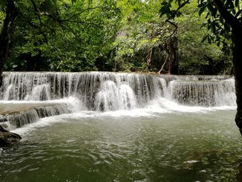 Scenic view of waterfall in forest