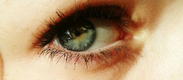 human eye