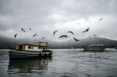 Birds flying over boats moored on sea against sky