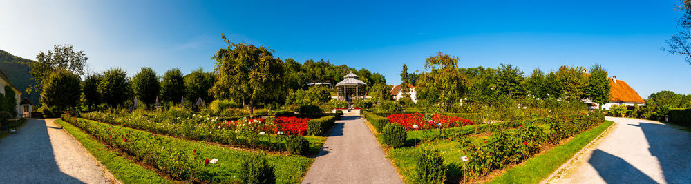 Footpath amidst plants and trees against sky