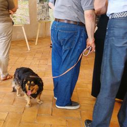 Low section of people with dog standing on floor