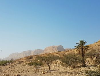 Scenic view of desert against clear blue sky