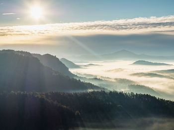 Amazing fog with fir forest and dark treetops, aerial view, misty autumn season in mountains valley