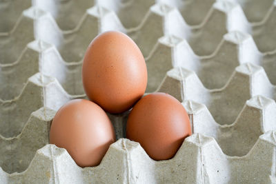 High angle view of eggs in container