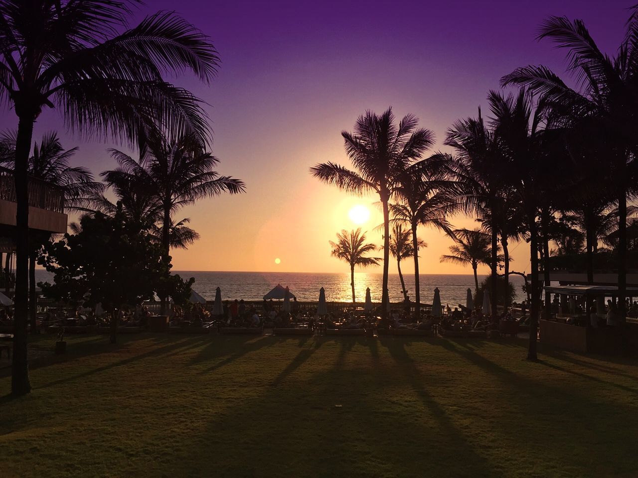 sunset, sea, horizon over water, palm tree, water, beach, tranquil scene, tree, tranquility, scenics, silhouette, sun, beauty in nature, sky, shore, nature, idyllic, sunlight, orange color, clear sky