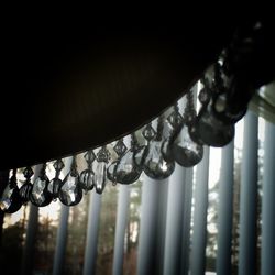 Close-up of metal fence