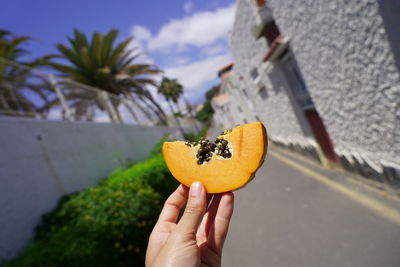 Cropped image of person holding orange fruit