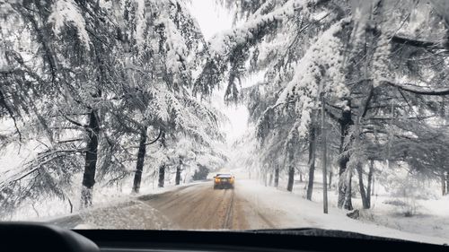 Road amidst trees seen through car windshield