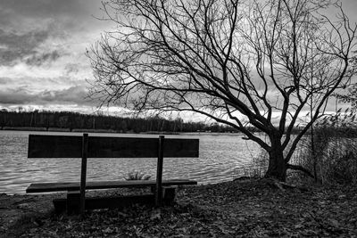 Empty bench by bare tree by lake against sky