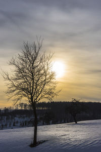Silhouette bare tree on snow field against sky during sunset