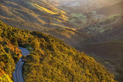 Aerial view of road amidst trees and mountains