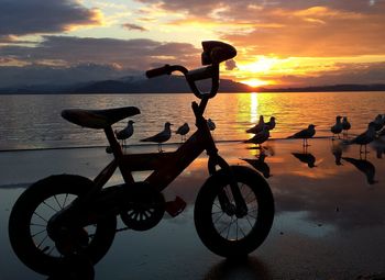 Scenic view of sea at sunset