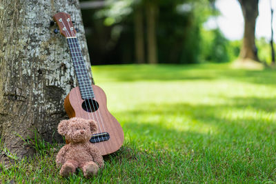 Man playing guitar with toy on grass