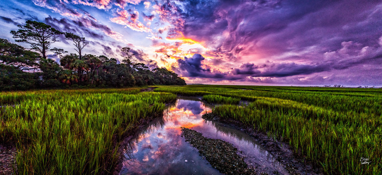 SCENIC VIEW OF FIELD AGAINST SKY AT SUNSET