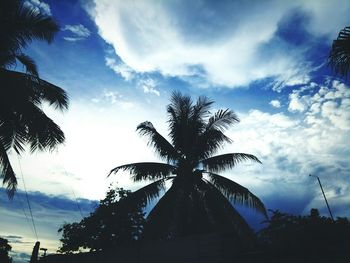 Low angle view of silhouette palm trees against sky