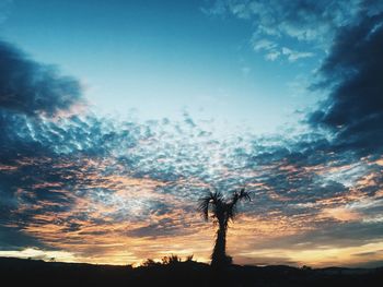 Low angle view of silhouette trees against sky at sunset