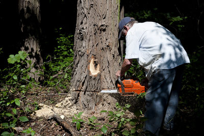 Side view of man cutting tree in forest