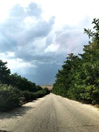 Empty road amidst trees against sky