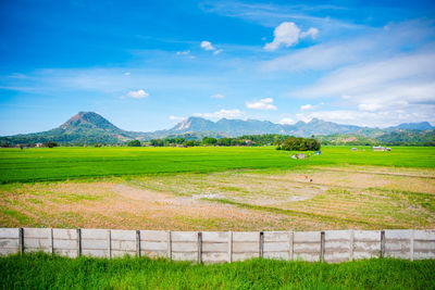 Scenic view of field against sky