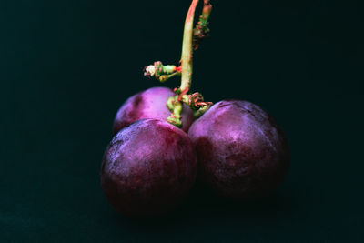 Close-up of fruits against black background