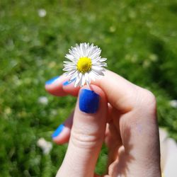 Cropped image of hand holding rose