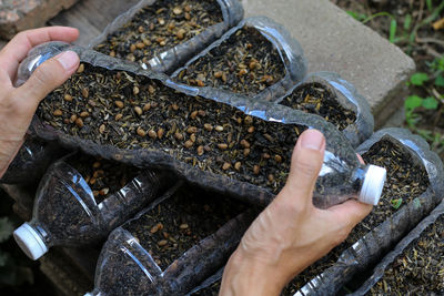 High angle view of person working