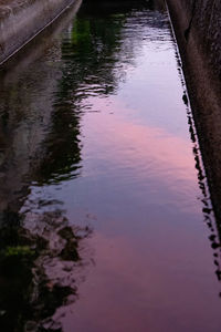 Reflection of trees in lake