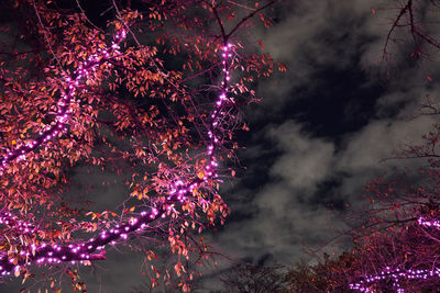 Low angle view of firework display at night