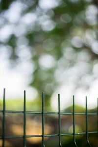 Low angle view of fence against blurred background