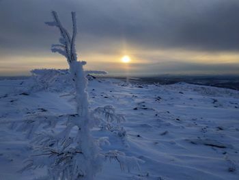 Scenic view of snow covered land during sunset