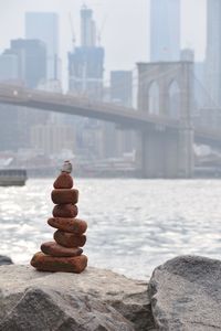 Close-up of stones in water