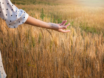 Low section of woman standing on grassy field