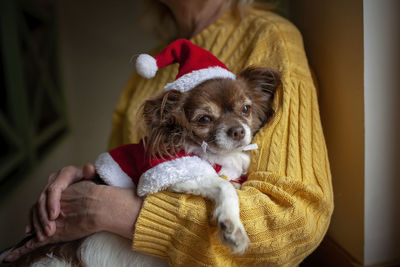 Elderly woman holds dog in santa red hat and looks out the window waiting for holiday, retirees care