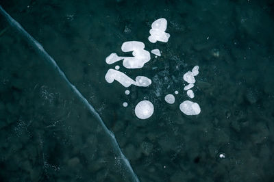 High angle view of bubbles floating on frozen lake
