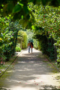 Rear view of woman walking on footpath