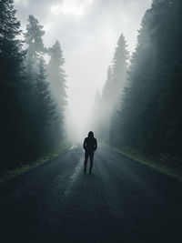 Rear view of man walking on road amidst trees in foggy weather