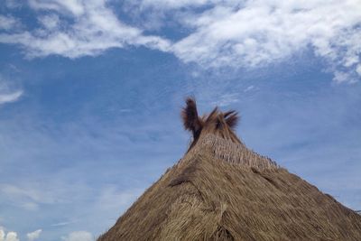Low angle view of giraffe against sky