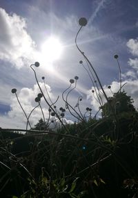 Silhouette of trees against sky