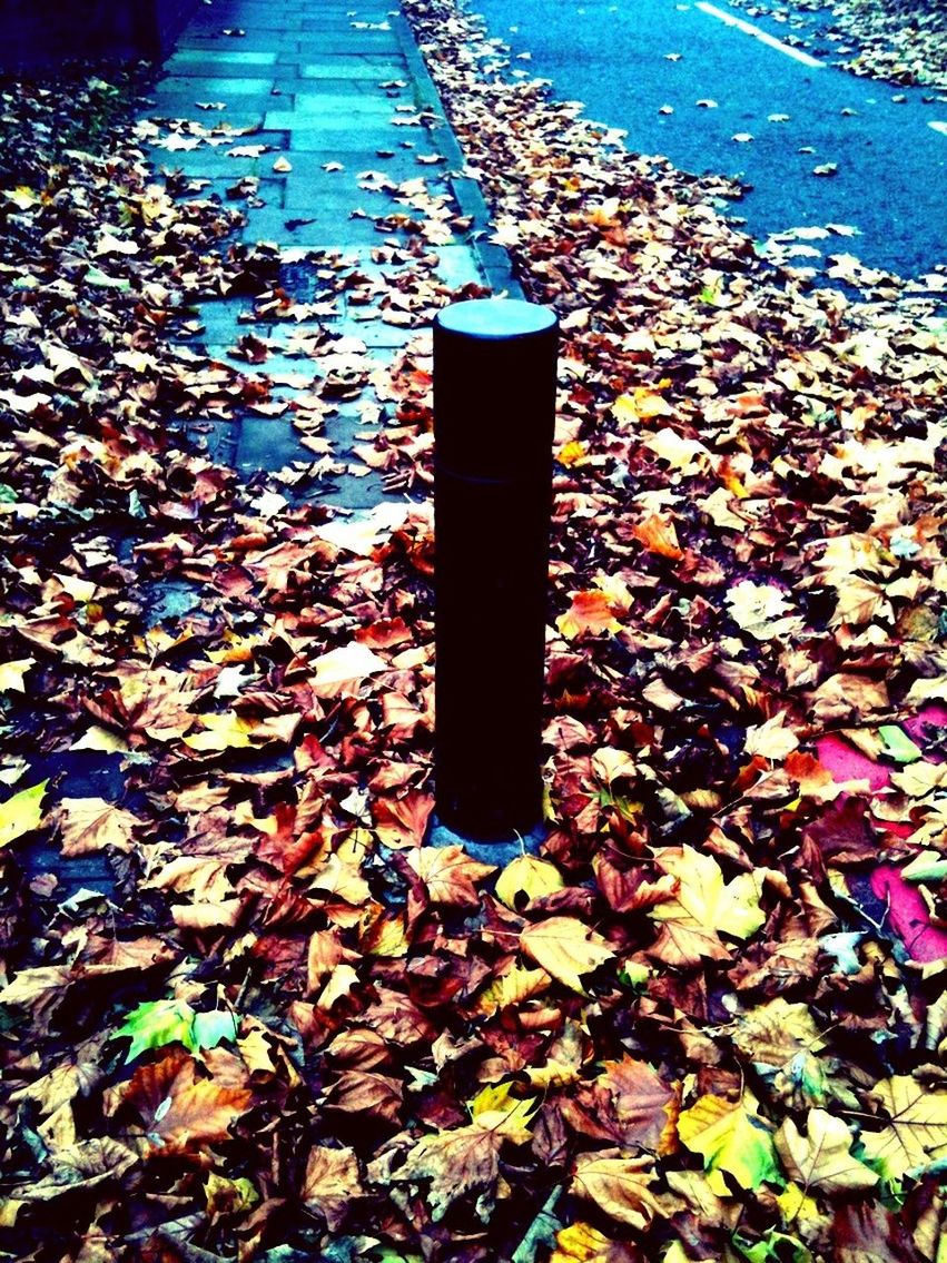 high angle view, water, autumn, outdoors, day, blue, leaf, no people, transportation, metal, abandoned, sunlight, tranquility, abundance, nature, pole, puddle, absence, street, rusty