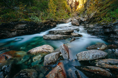 Scenic view of waterfall in forest