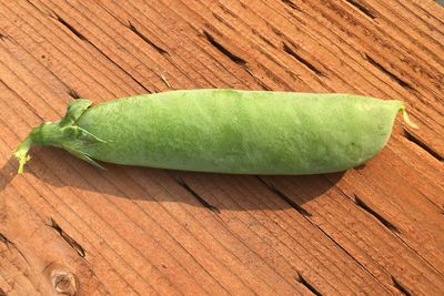 High angle view of leaf on table