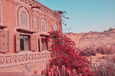 Low angle view of flowering plants by building against sky