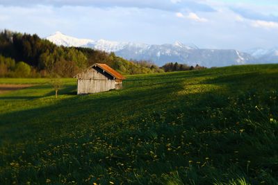 House on grassy field against sky