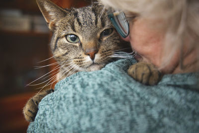 Close-up portrait of tabby cat